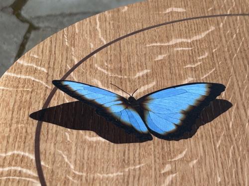 Butterfly Table
