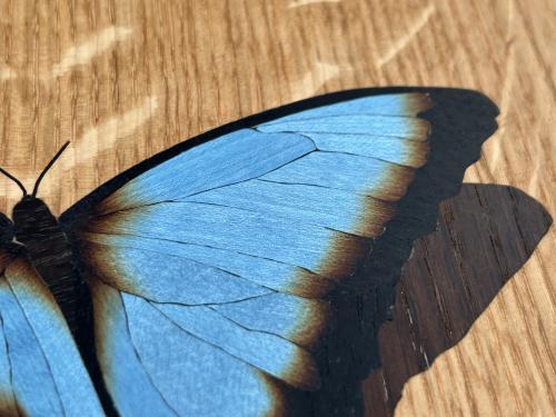Butterfly Table